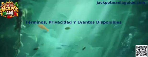 Imagen ilustrativa de Jackpot Mania sobre términos, privacidad y eventos disponibles